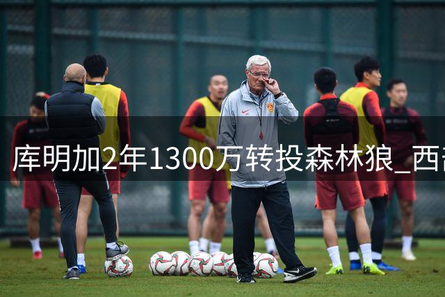 库明加2年1300万转投森林狼 西部格局或将改写