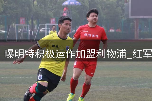 曝明特积极运作加盟利物浦 红军将第三次报价布莱顿